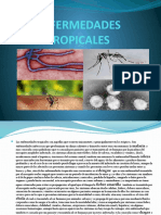 Enfermedades Tropicales 0