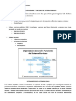 Tema 10 (Introducción Al SN)