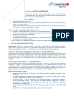 CaracteristicasParticulares SegurodeVidaMAS70anos PDF