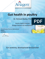 Gut Health in Poultry, 2013 PDF