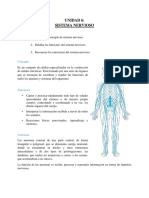 Sistema Nervioso PDF