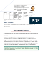 Actividad 1 - Generalidades Del Sistema Endocrino