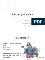 Anatomy of Palate