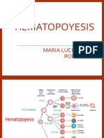 Hematopoyesis MLPR