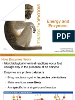 Energy and Enzymes:: Lecture Presentation by Cindy S. Malone, PHD