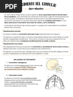 Clase 9 PDF