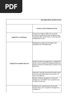 Matriz de Planificacion Del Proyecto