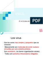 Clase VIRUS