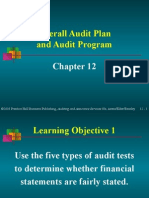 Overall Audit Plan and Audit Program