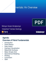 Petrel_Fundamentals_An_Overview.pdf