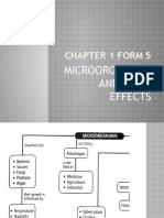 Chapter 1 Form 5: Microorganisms and Their Effects