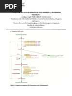 Trabajo Final de Ruta Metabolica Biosintesis L-Fenilalanina