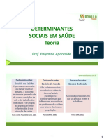 Detrminantes Sociais em Saúde - Teoria