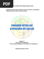 Primer Nivel de Atencion de Salud Guatemala PDF