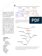 Phylogenetic Tree: Tree Is A Branching Diagram or "Tree"