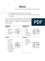 Meiosis: First Division Second Division Interphase I Interphase II