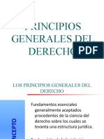 Los Principios Generales Del Derecho