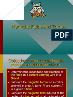 Magnetic Fields and Torque