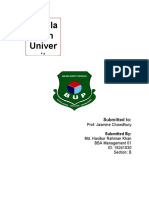 Bangla Desh Univer Sity: Submitted To