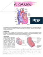 El Corazon