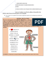 Indicador de Logro: Leo y Copio en El Cuaderno de Ciencias El Siguiente Resumen Con Los Dibujos Que Está en El Recuadro