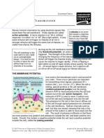 Nerve Signal Transmission: Action Potentials. A Nerve Impulse Is An "All or Nothing"