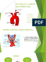 Irrigacion de Cuello y Cabeza