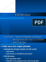 Cell Division