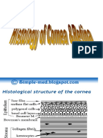 Histology of Cornea & Retina