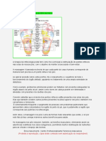 SPA Dos Pés & Reflexologia Podal.