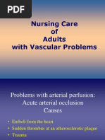 Nursing Care of Adults With Vascular Problems