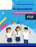 Programa Seg Básico Impresindible Segundo Grado Secundaria