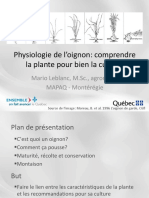 Physiologie de L'oignon