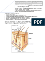 5 ApT - Sistema Tegumentario