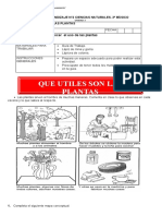 Guia 2 CIENCIAS NATURALES TERCER Año