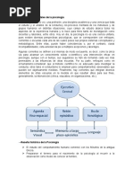 Bases Fundamentales de La Psicología