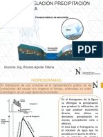 Relacion Precipitacion - Escorrentia PDF