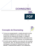 DOWNSIZING Presentacion