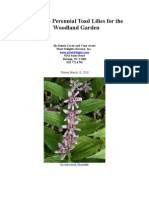 Tricyrtis - Perennial Toad Lilies For The Woodland Garden