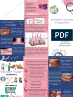 Streptococcus Pyogenes