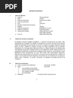 Informe Psicologico de Un Adolescente