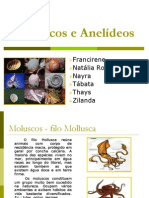 Moluscos e Anelídeos