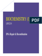 L20 - DNA Repair & Recombination