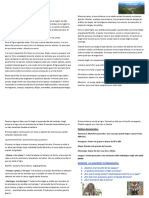 Segunda Semana - Lectura PDF