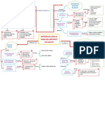 Mapa Conceptual Trabajo