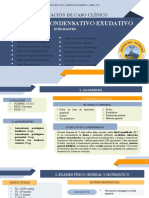 EXPOSICIÓN DE CASÓ - SINDROME CONDENSATIVO - Completo
