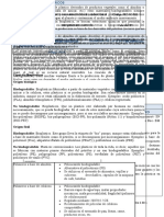 Guia Bioplasticos A Partir de Almidon de Maiz - Final