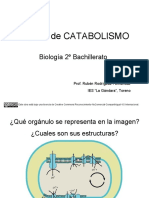 Repaso-Catabolismo 2c2babach