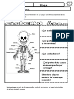 Tema 1. - Sistema Oseo