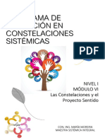 Constelaciones y Proyecto Sentido